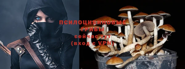 ALPHA PVP Алексеевка