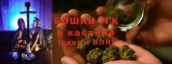 дурь Алексин