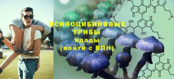 дурь Алексин