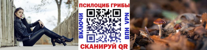 darknet формула  Игра  blacksprut ссылка  Псилоцибиновые грибы Psilocybine cubensis  цена  